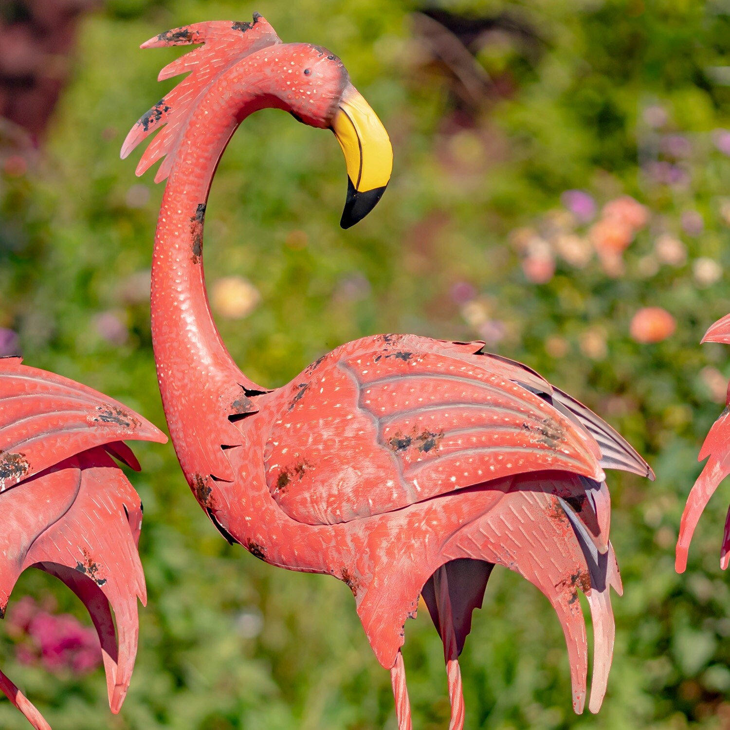 FLAMINGO-20SR 
(フラミンゴ-20SR)
ラジコン飛行機キット Set of 4 Assorted Bright Pink Iron Flamingos - Bed Bath