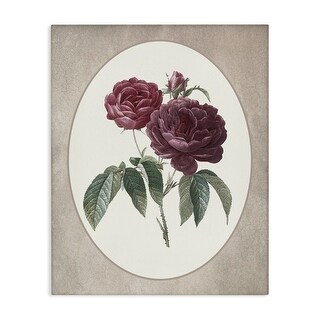 Stupell Vintage Blooms within Oval Canvas Wall Art Design By Lettered ...