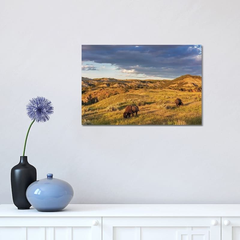 iCanvas "Bison grazing in badlands in Theodore Roosevelt National Park, North Dakota, USA" by Chuck Haney Canvas Print - 12x18x1.5