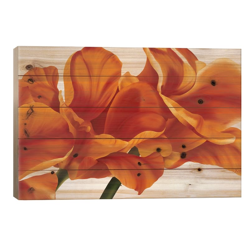 Fancy Flower II Print On Wood by Yvonne Poelstra-Holzhaus - Multi-Color - 18x26x1.5