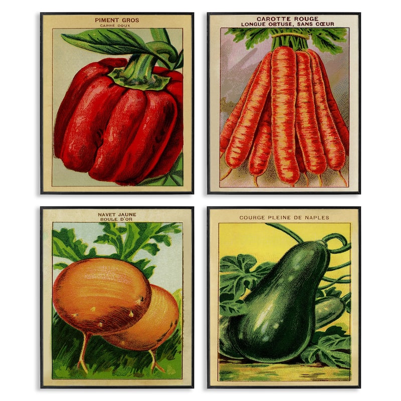 Stupell Rustic Garden Vegetables Framed Giclee Art Design By Lil' Rue (Set of 4) - 16 x 20 - Black