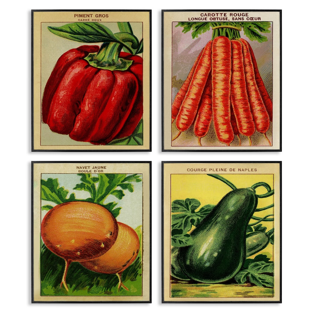 Stupell Rustic Garden Vegetables Framed Giclee Art Design By Lil' Rue (Set of 4)