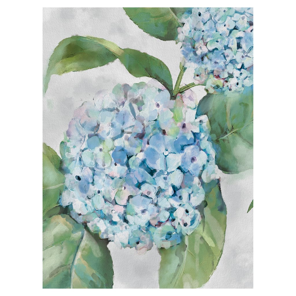 Hydrangea Portraits I Canvas Art Print