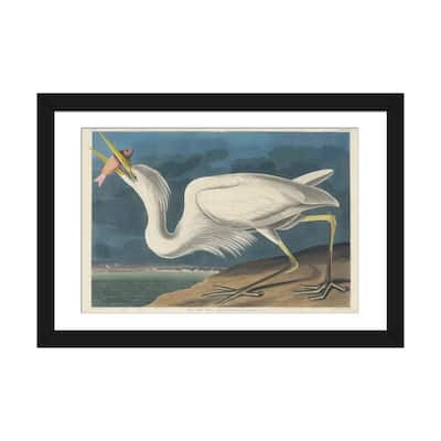iCanvas "Great White Heron, 1835" by John James Audubon