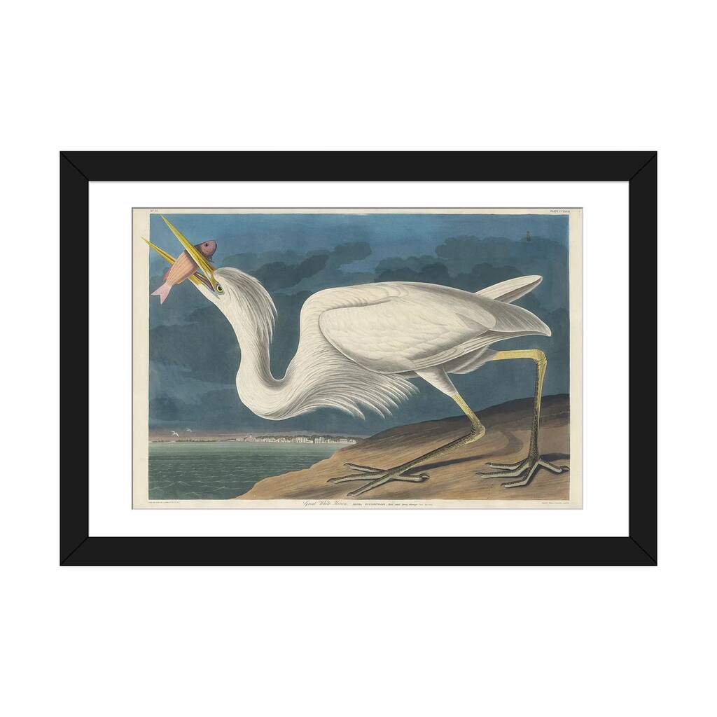 iCanvas "Great White Heron, 1835" by John James Audubon