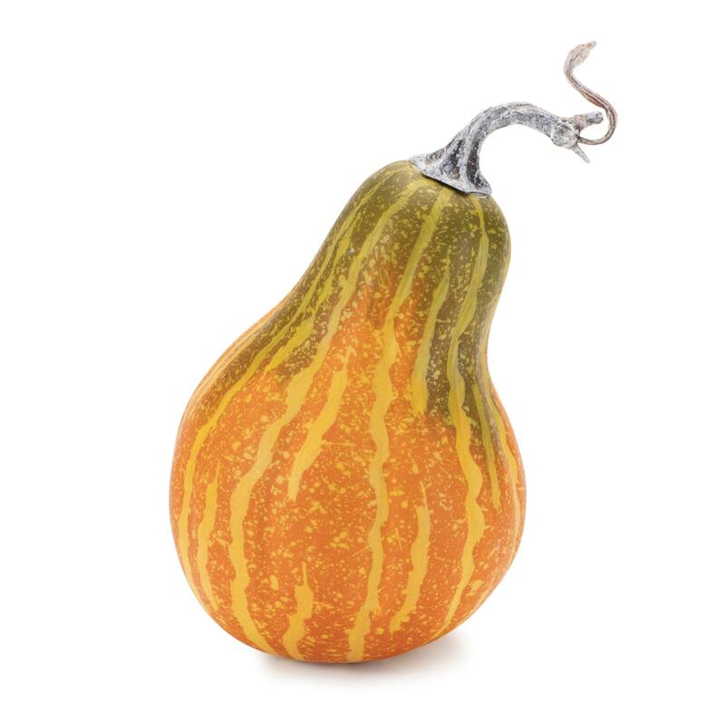 Pumpkin and Gourd Fall Harvest Decorations - 8.5" - Orange - Set of 2