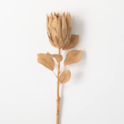 Sullivans 29 in. Natural Pale Protea Stem