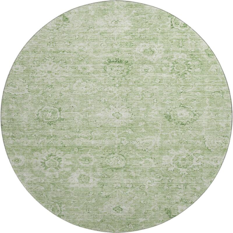 Premium Washable Super Soft Traditional Vintage Mayfield Rug