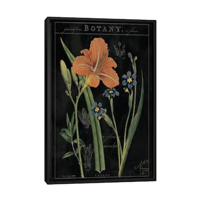 iCanvas "Vintage Flora II On Black" by Sue Schlabach Framed Canvas Print