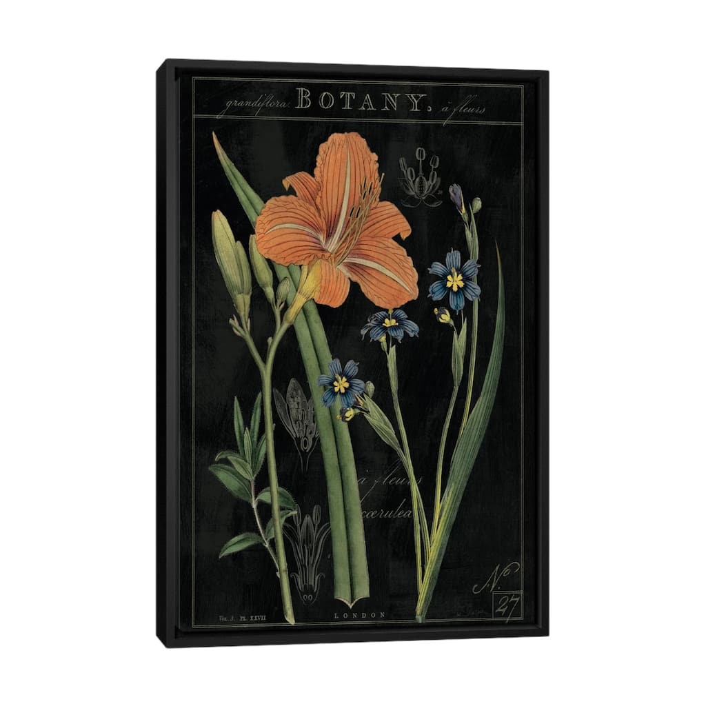 iCanvas "Vintage Flora II On Black" by Sue Schlabach Framed Canvas Print