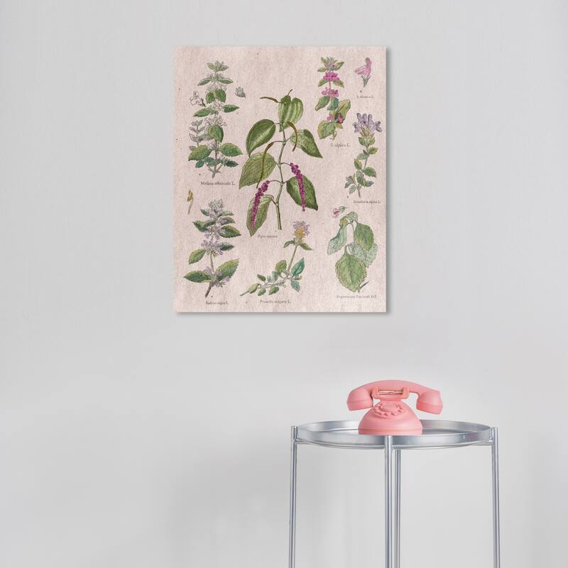 Wynwood Studio Canvas Floral and Botanical Floral Illustrated Notes Green and Farmhouse Wall Art Canvas Print - 16 x 20