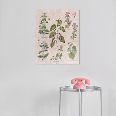 Wynwood Studio Canvas Floral and Botanical Floral Illustrated Notes Green and Farmhouse Wall Art Canvas Print