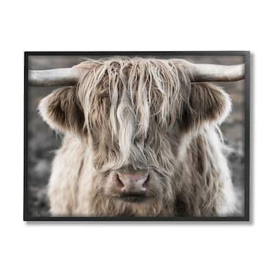Stupell Detailed Highlands Cattle Rural Farm Animal Photography Framed Wall Art, Design by Danita Delimont