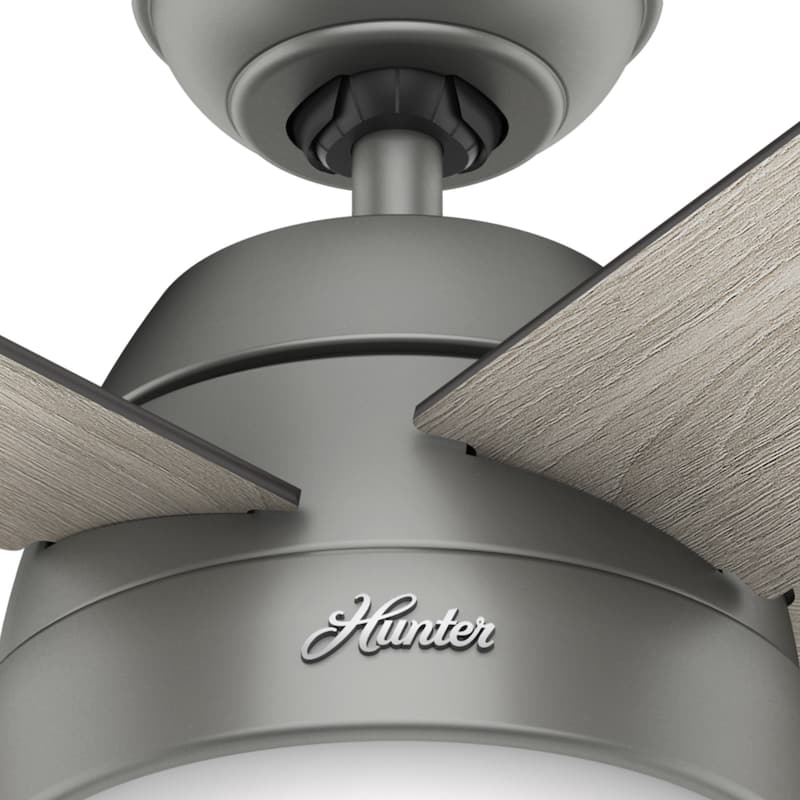 Hunter 46" Anslee Ceiling Fan with LED Light Kit and Pull Chain - Transitional, Contemporary