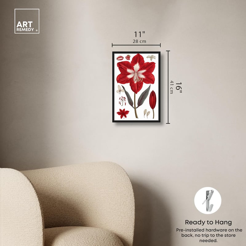 Amaryllis Anatomy Canvas by Art Remedy