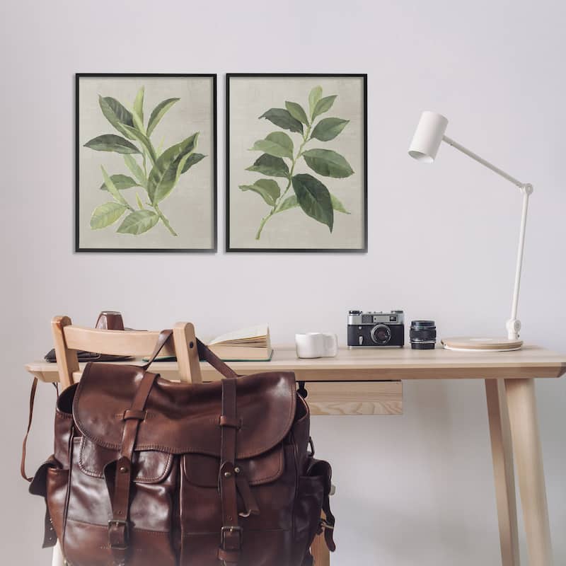 Stupell Green Tea & Coffee Plant Leaves Framed Giclee Art Design By Lanie Loreth (Set of 2)
