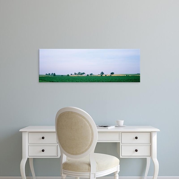 Easy Art Prints Panoramic Images's 'Farm & corn field Marion Co IL USA' Premium Canvas Art