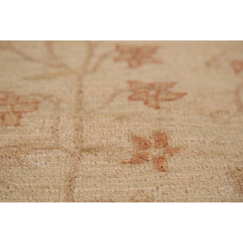 Peshawar Oriental Area Rug Hand-Knotted Wool Carpet - 6'0"x 9'2"