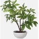 preview thumbnail 5 of 3, Uttermost 60225 Pachira Money 34-1/2" Tall Ceramic Faux Flora Planter