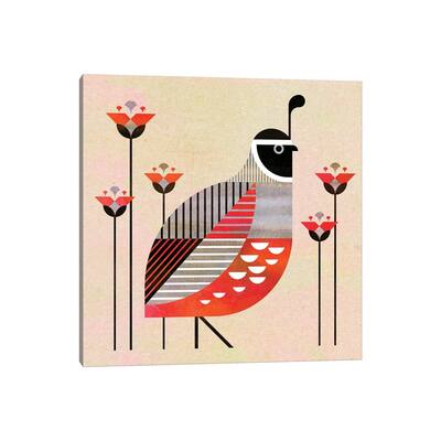 iCanvas "Quail II" by Scott Partridge Canvas Print