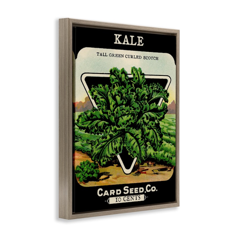 Stupell Vintage Garden Kale Framed Floater Canvas Wall Art Design By Lil' Rue