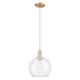Option Clear / Champagne Bronze