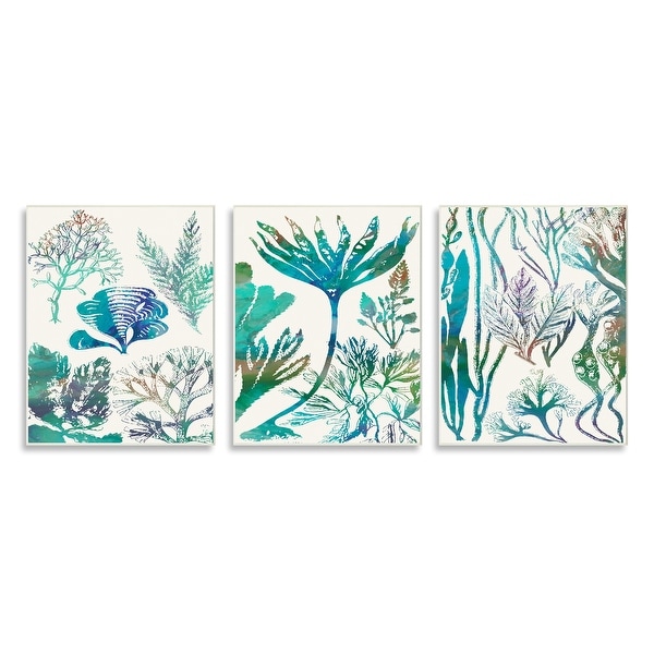 Stupell Industries Collage of Blue Sea Plants Ocean Floor Design Wood Wall Art, 3pc, each 10 x 15 - Multi-Color. Opens flyout.