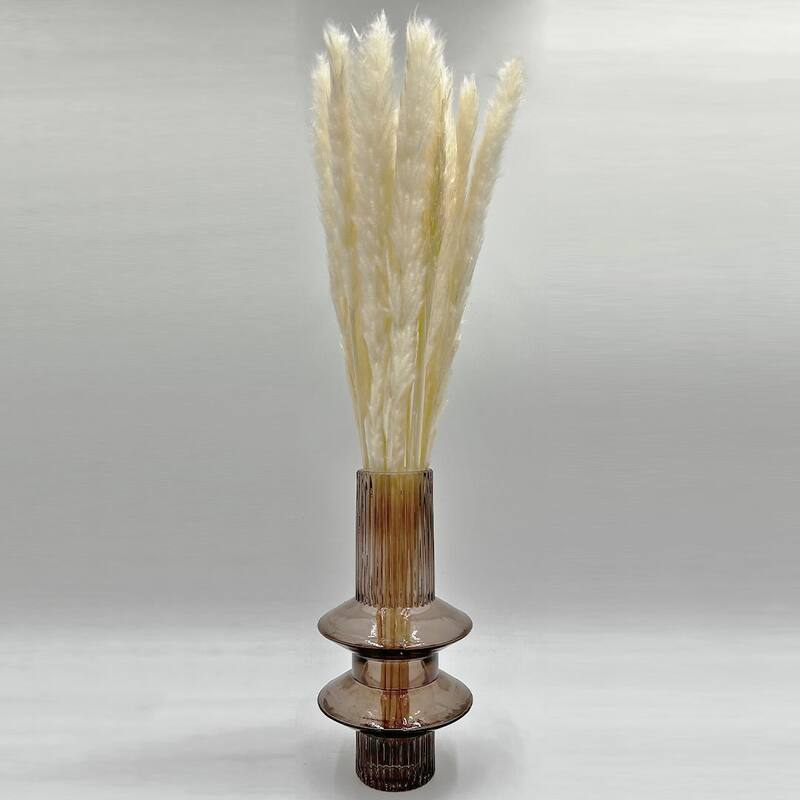 Bundle of 4 Preserved flowers Small pampass grass, 20" long - 20 inch