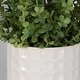 preview thumbnail 4 of 3, Uttermost Edgewood Greenery, Set Of 2 - 18"W x 14"H x 18"D