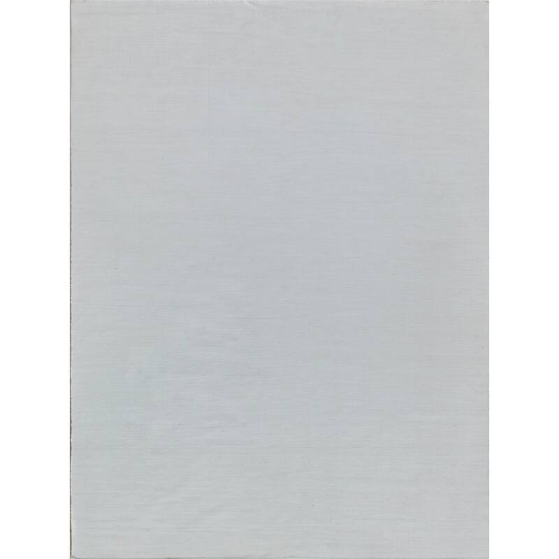 EXQUISITE RUGS Kashmir Indoor/Outdoor Flatweave PET yarn Ivory Area Rug.