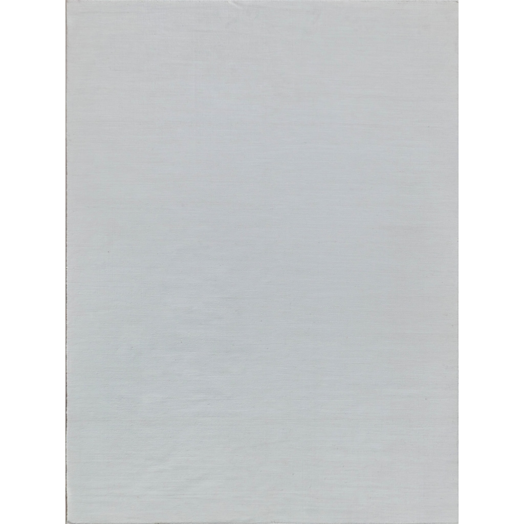 EXQUISITE RUGS Kashmir Indoor/Outdoor Flatweave PET yarn Ivory Area Rug.