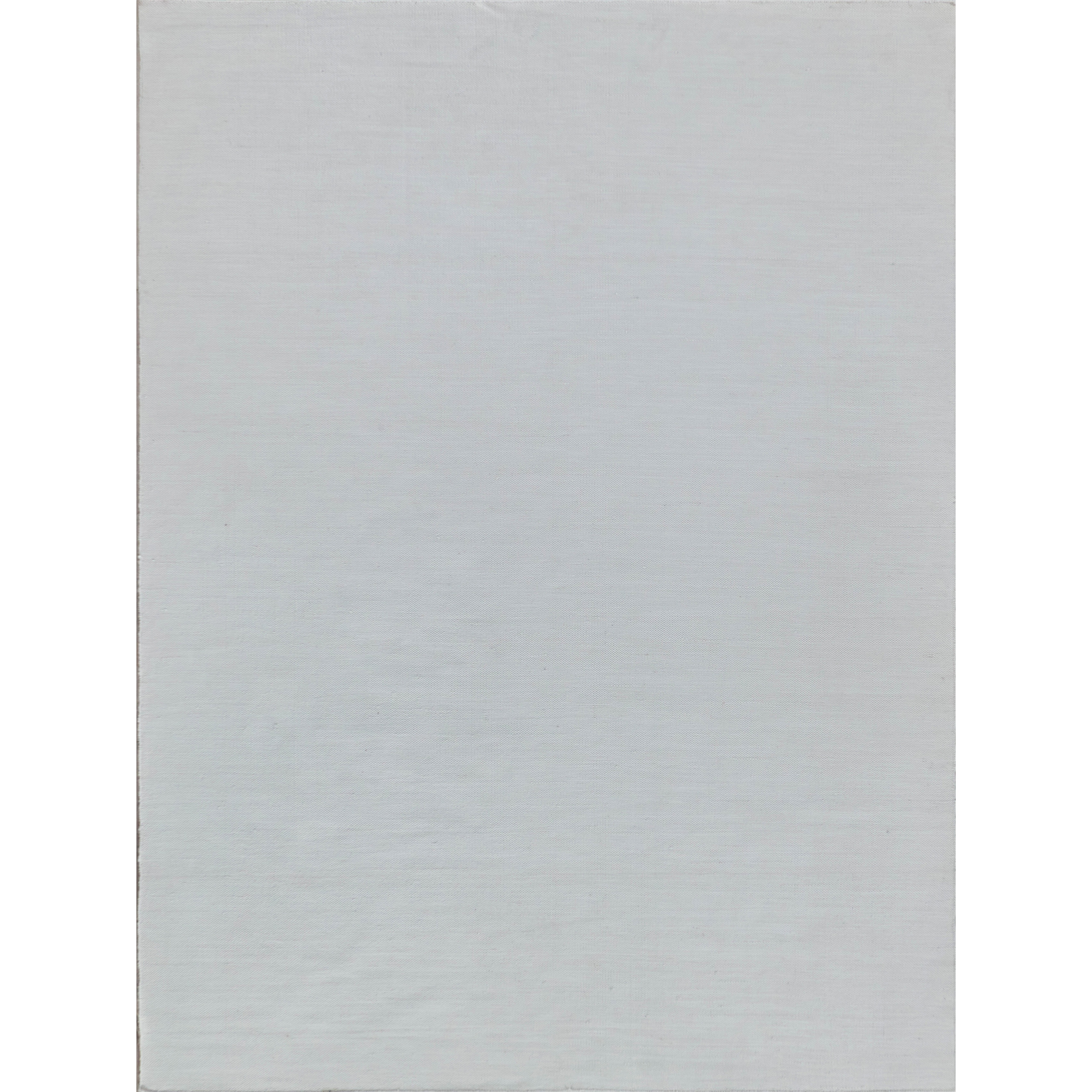 EXQUISITE RUGS Kashmir Indoor/Outdoor Flatweave PET yarn Ivory Area Rug.