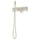 Option Platinum Nickel