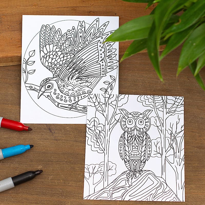 Novica Handmade Bird Enchantment Coloring Postcards (Pair)