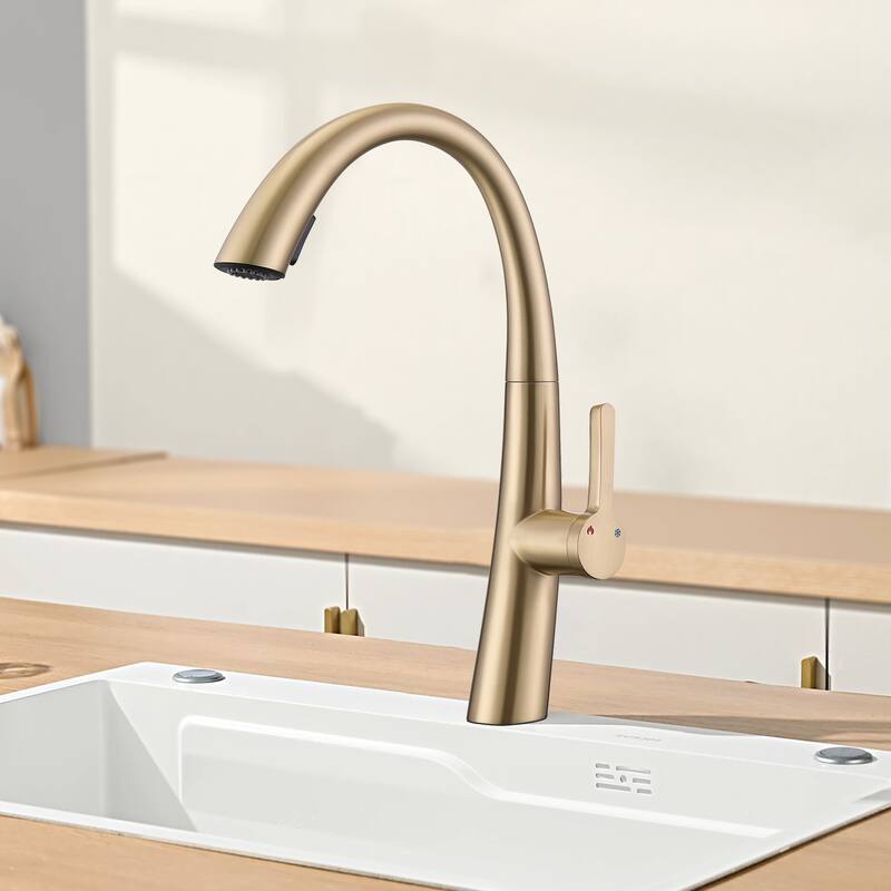 Topcraft Stainless Steel Single Handle Pull-Out Kitchen Faucet