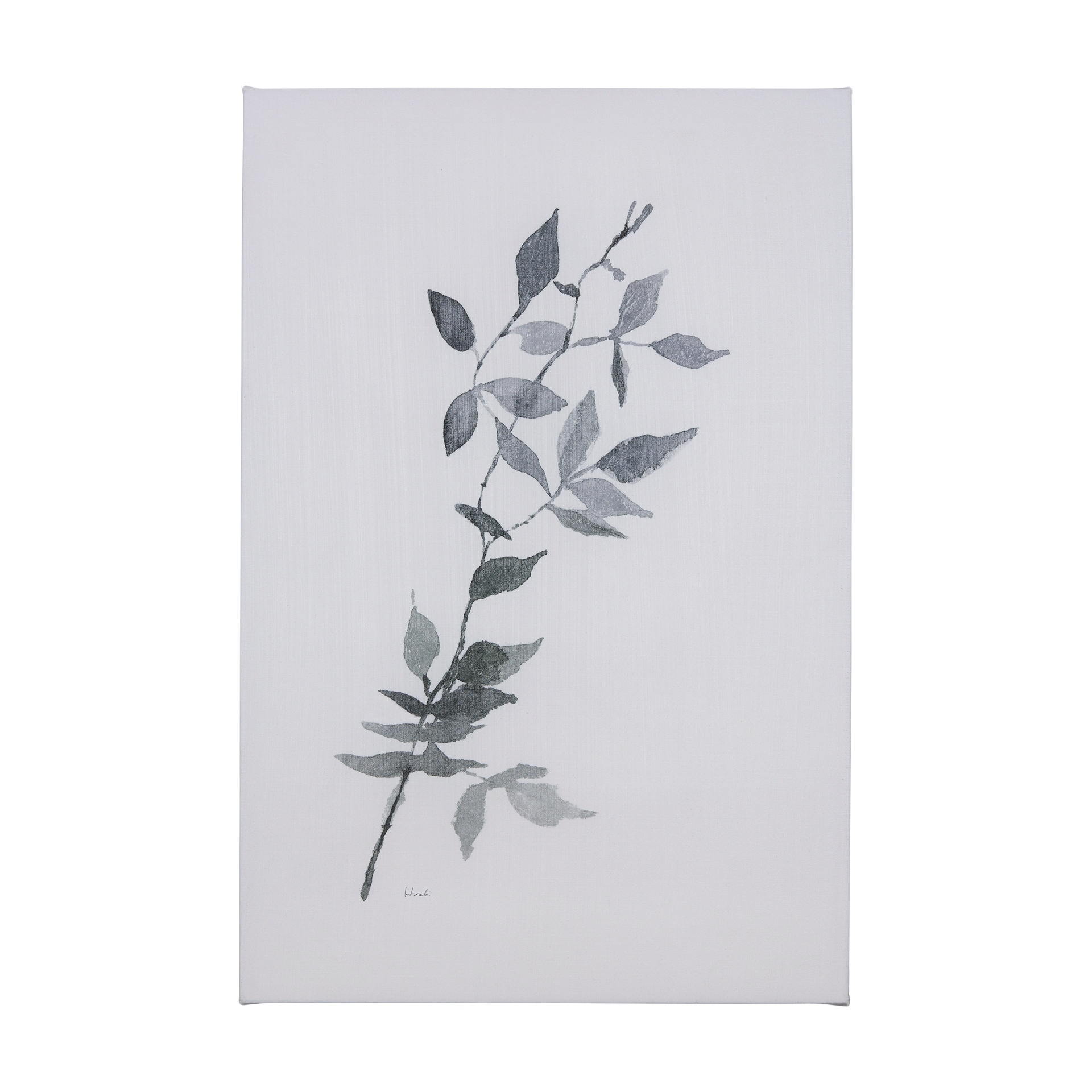 Mercana Leaf Shadow I (40 x 60 ) Canvas Art Print