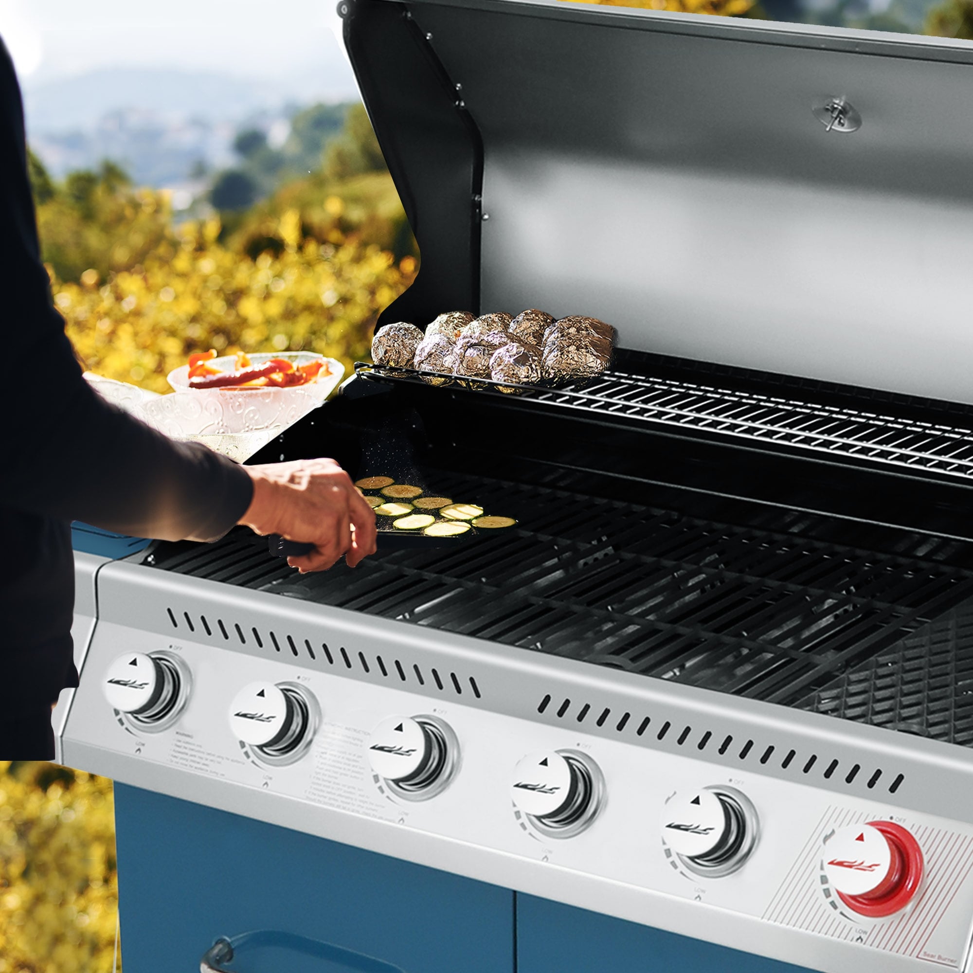Royal Gourmet 6 Burner BBQ Liquid Propane Gas Grill with Sear Burner and Side Burner Blue