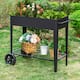 Option Black