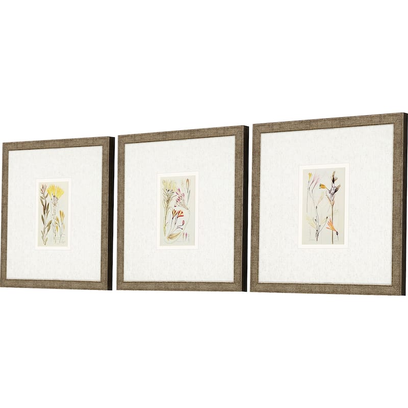 Antique Botanical II S/3 Framed Art Under Glass - Green