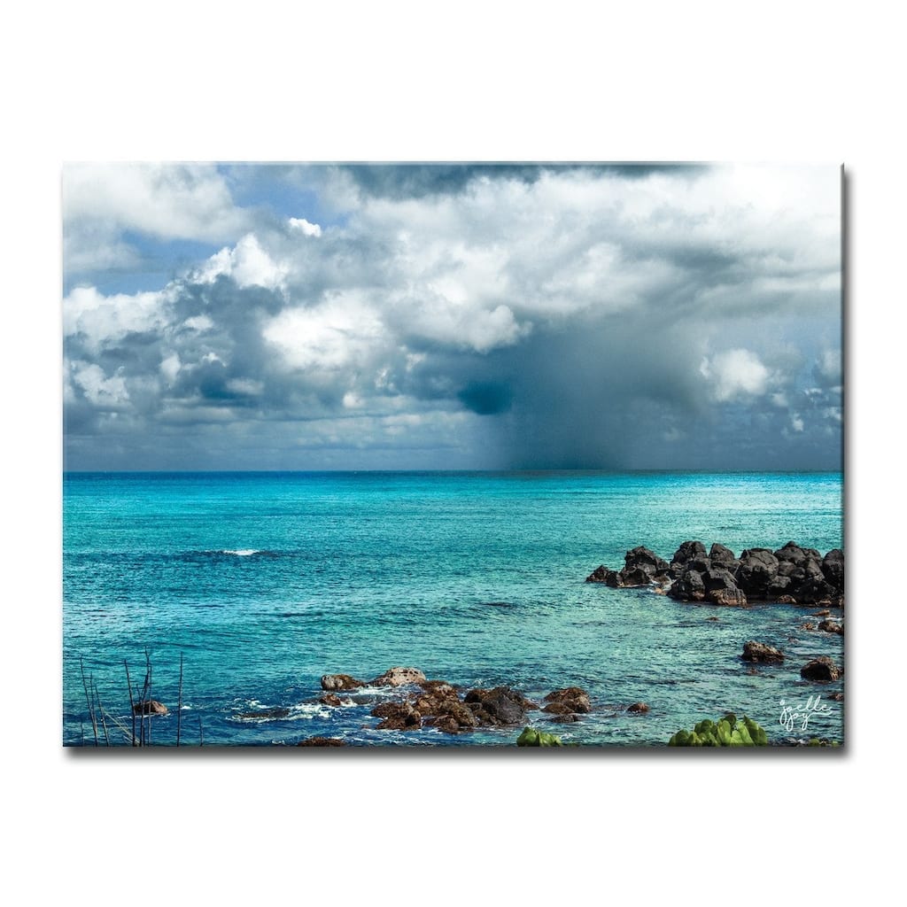 Ready2HangArt 'Default' Canvas Art Print