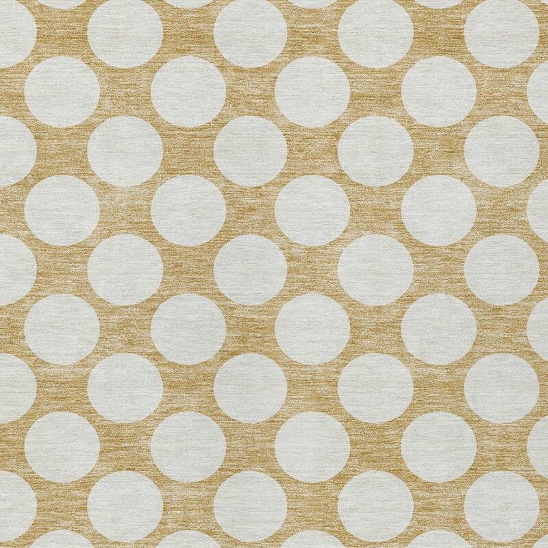 HomeRoots Polka Dot Transitional Rectangle Outdoor Rug