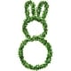 preview thumbnail 11 of 16, Fraser Hill Farm 24-inch Boxwood Bunny Wreath