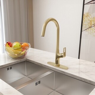 Kitchen Sink Faucet Single-Handle Pull-Out Sprayer Kitchen Faucet