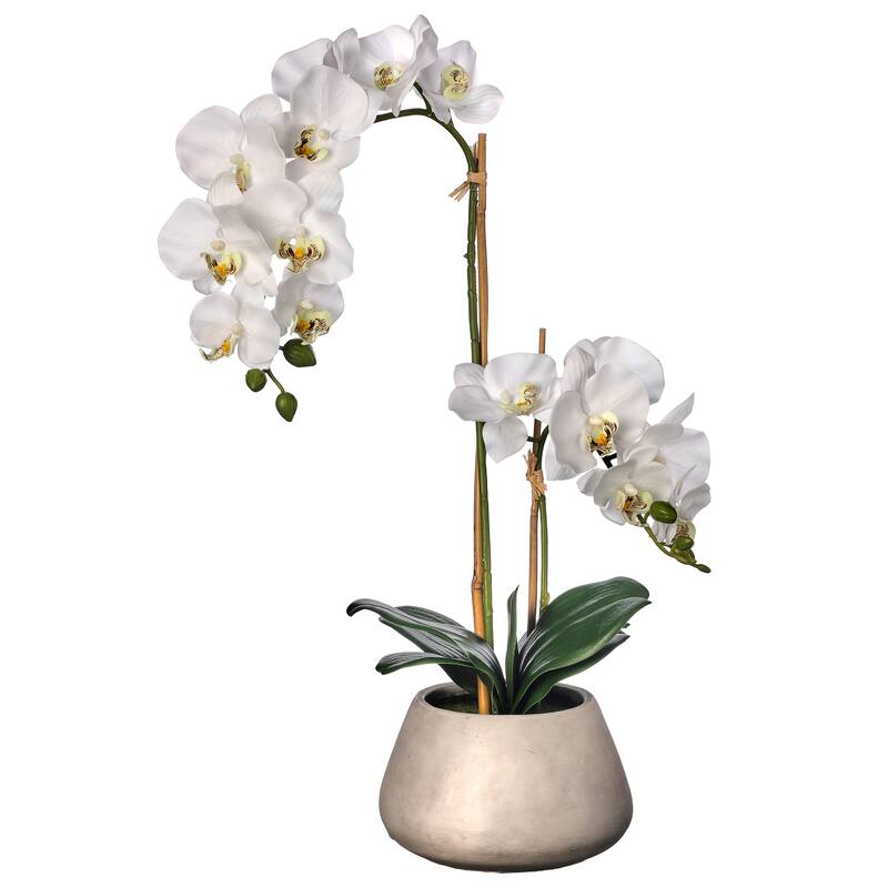 24" Natural Touch Phaleanopsis In Cement Pot