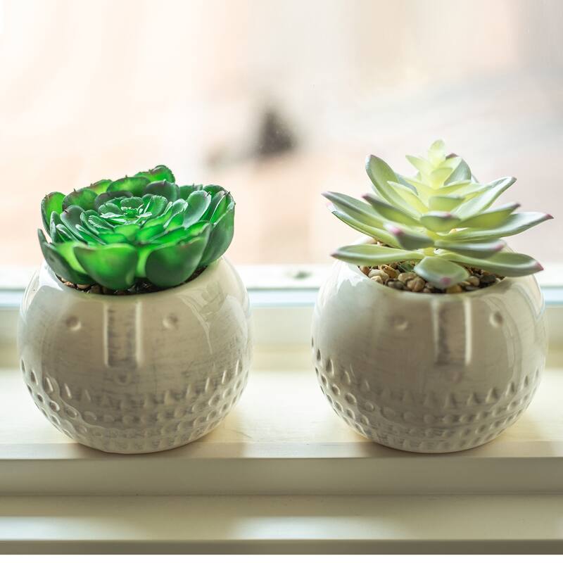 SET OF 2 Faux Succulent in CYLINDER COOL FACECeramic Pot - ONE-SIZE