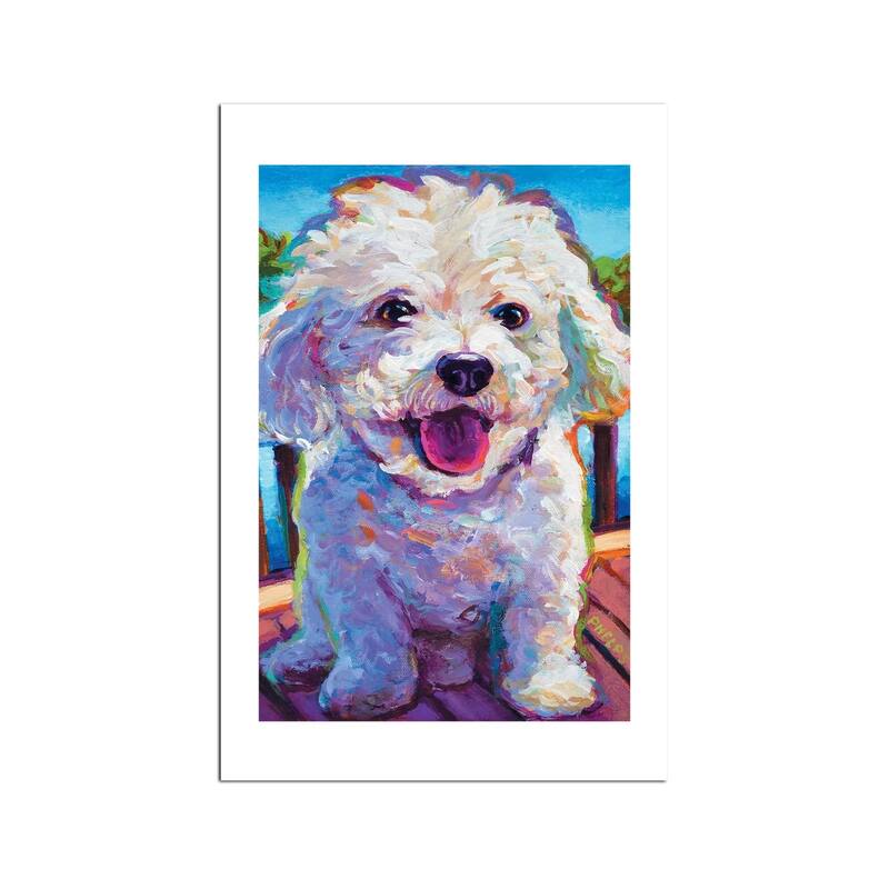 Bichon Frise Fine Art Paper Print by Robert Phelps - Multi