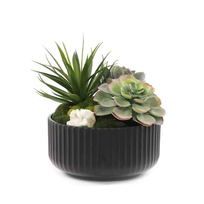 Faux Succulents & Moss Arrangement in Ribbed Black Pot - Green