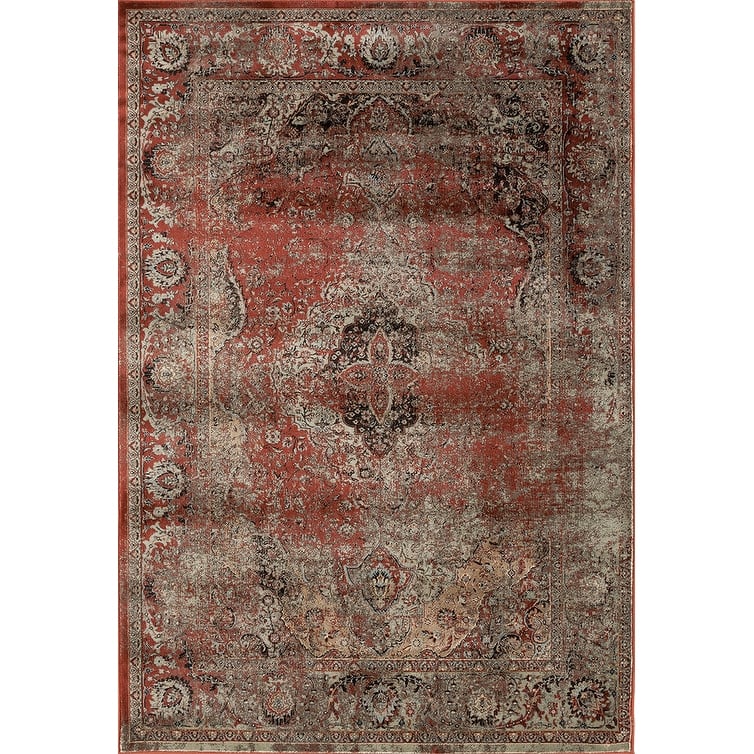 Antique Collection Traditional Area Rug