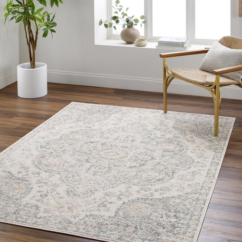 Livabliss Hal Vintage Boho Traditional Pink Medallion Area Rug - Cream/Light Beige/Medium Gray/Blue/Charcoal/Amber - 5' 3" x 7' 7"