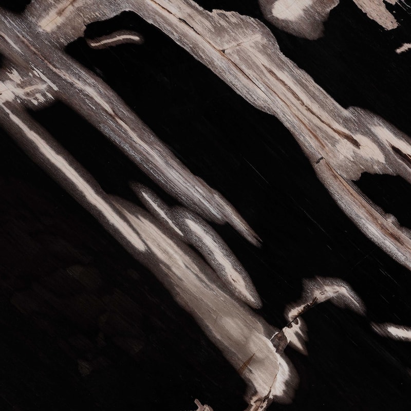 Lavanya End Table with Petrified Wood Top - Drum Accent Side Table with Recycled Teak Wood Frame for Living Room or Entryway